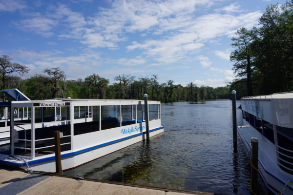 Florida-tallahassee-wakulla springs-tour boats