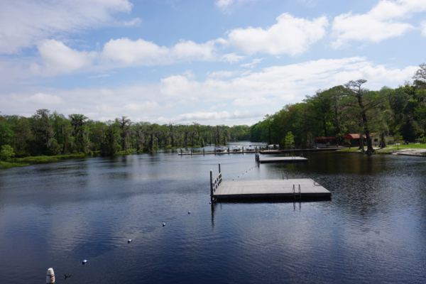 Florida-tallahassee-wakulla springs-view from diving platform