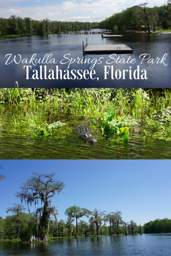 Day Trip to Wakulla Springs State Park from Tallahassee, Florida | Gone with the Family