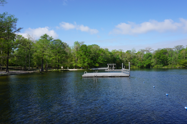 Florida-tallahassee-wakulla springs-swimming platforms