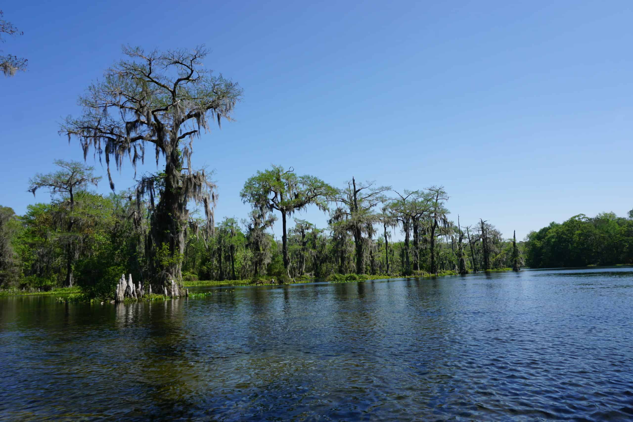 Wakulla Springs
