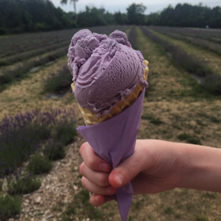 Terre bleu lavender farm-lavender ice cream cone Terre bleu lavender farm-lavender ice cream cone