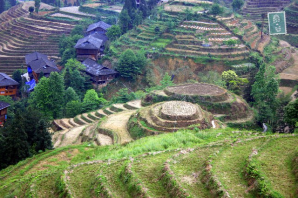 Longji Terraced Fields, Guilin