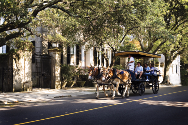 Historic-Carriage-Tour-charleston-south carolina