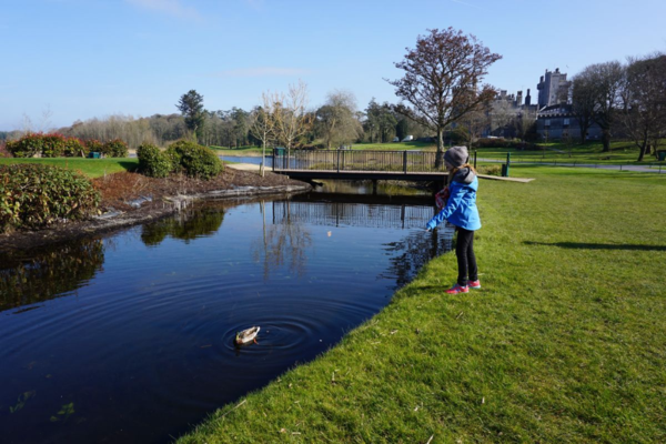 Ireland-dromoland castle-girl feeding ducks