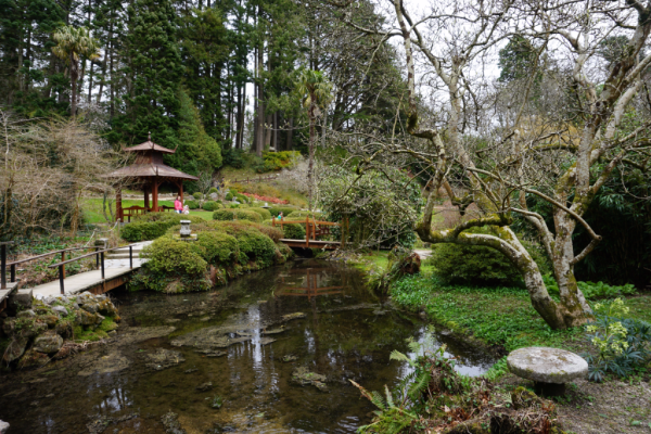 Ireland-powerscourt garden-japanese garden