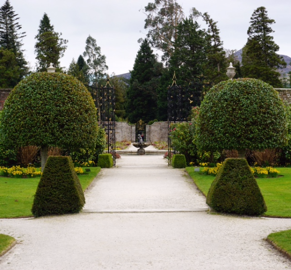 Ireland-powerscourt gardens-path to walled garden