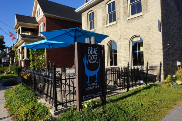 Ontario-Brantford-blue dog cafe