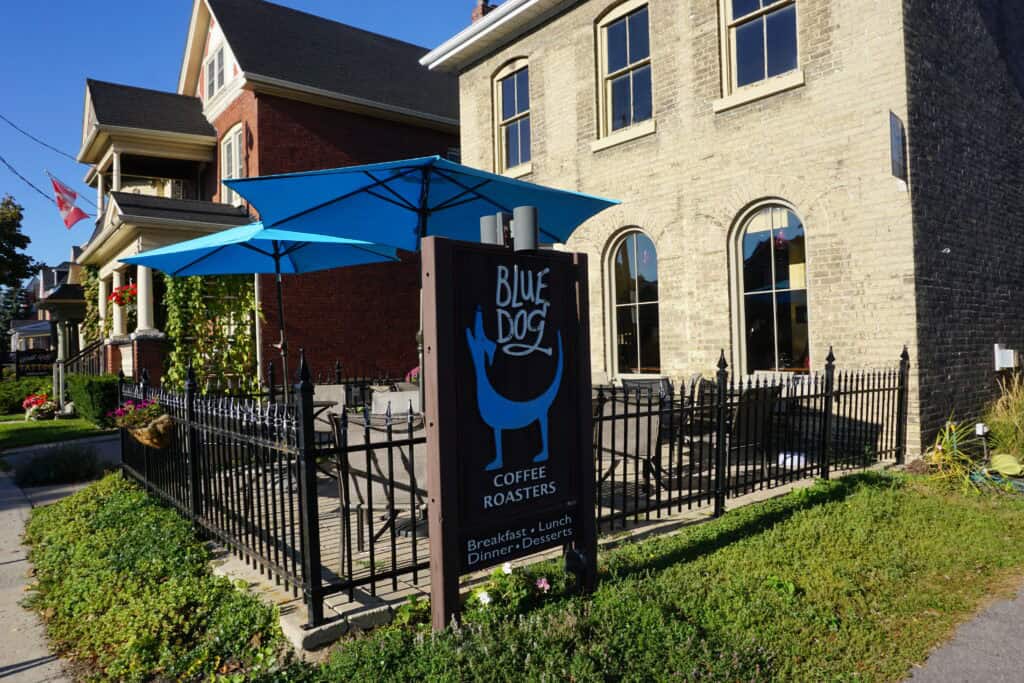 Exterior of Blue Dog Coffee Roasters in Brantford - grey stone building with patio in front and bright blue umbrellas.