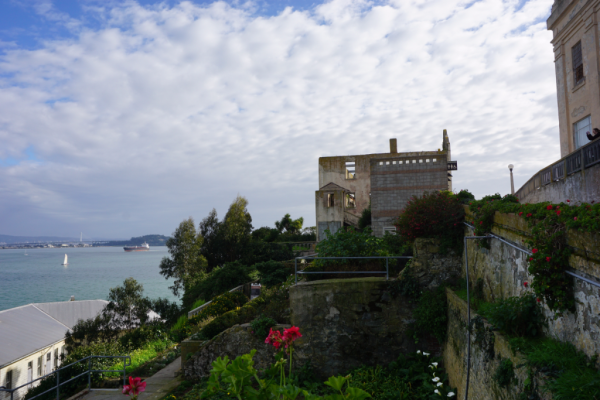 California-san francisco-alcatraz island