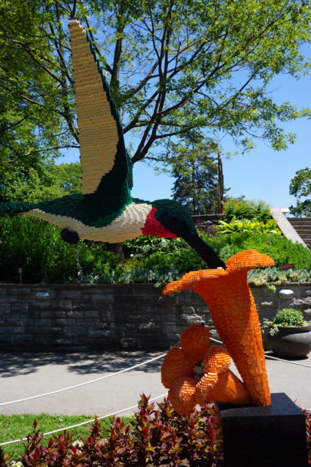 Ontario-royal botanical gardens-nature connects exhibit-hummingbird