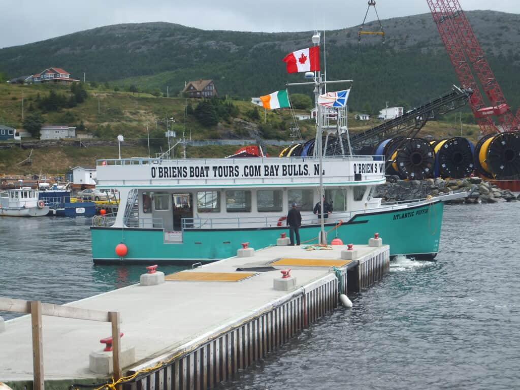 green and white o'briens boat tours boat sailing past end of dock in bay bulls, newfoundland.
