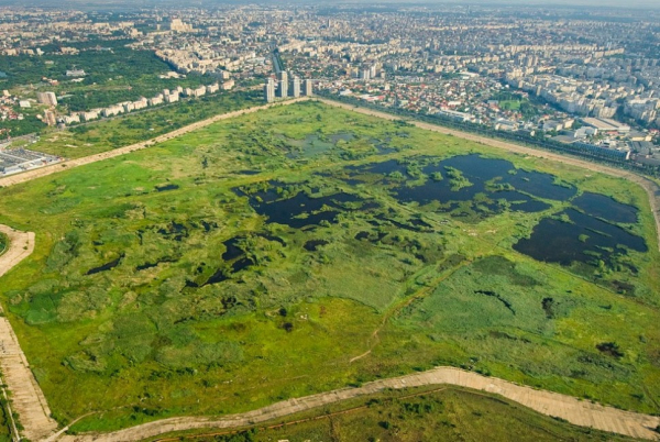 Vacaresti Natural Park 