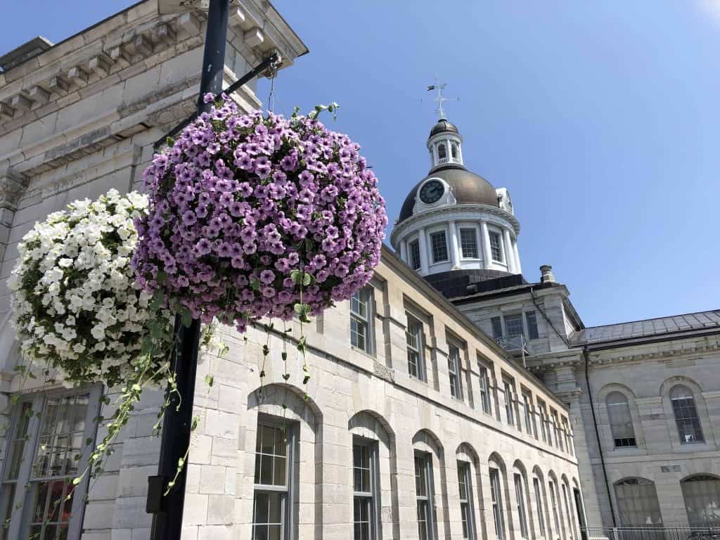 baskets of purple and white flowers hanging behind kingston city hall