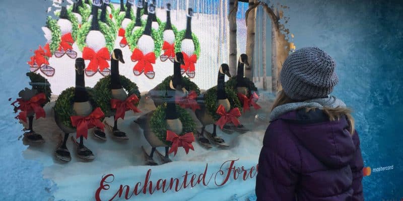 girl in purple coat and hat looking at christmas window with canada geese wearing wreaths