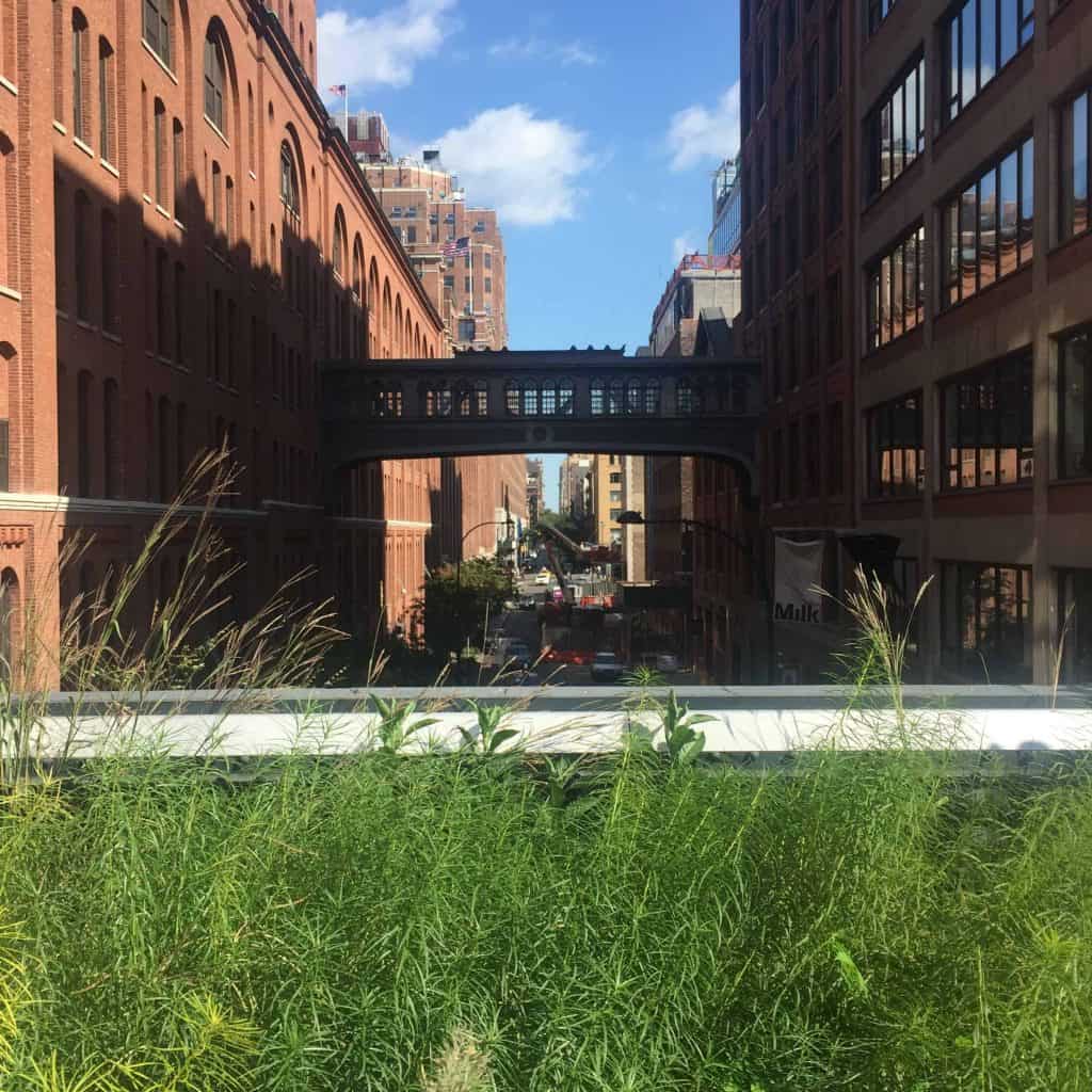 pedestrian bridge above ground in new york city