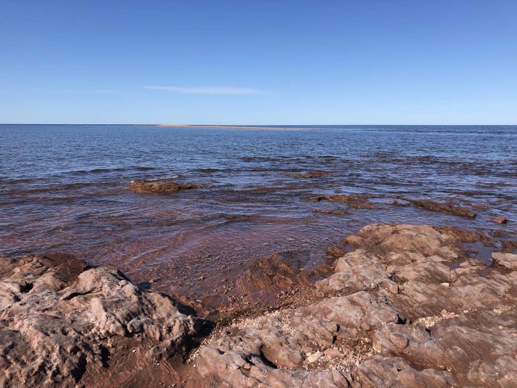 ocean with rocky red stone beach