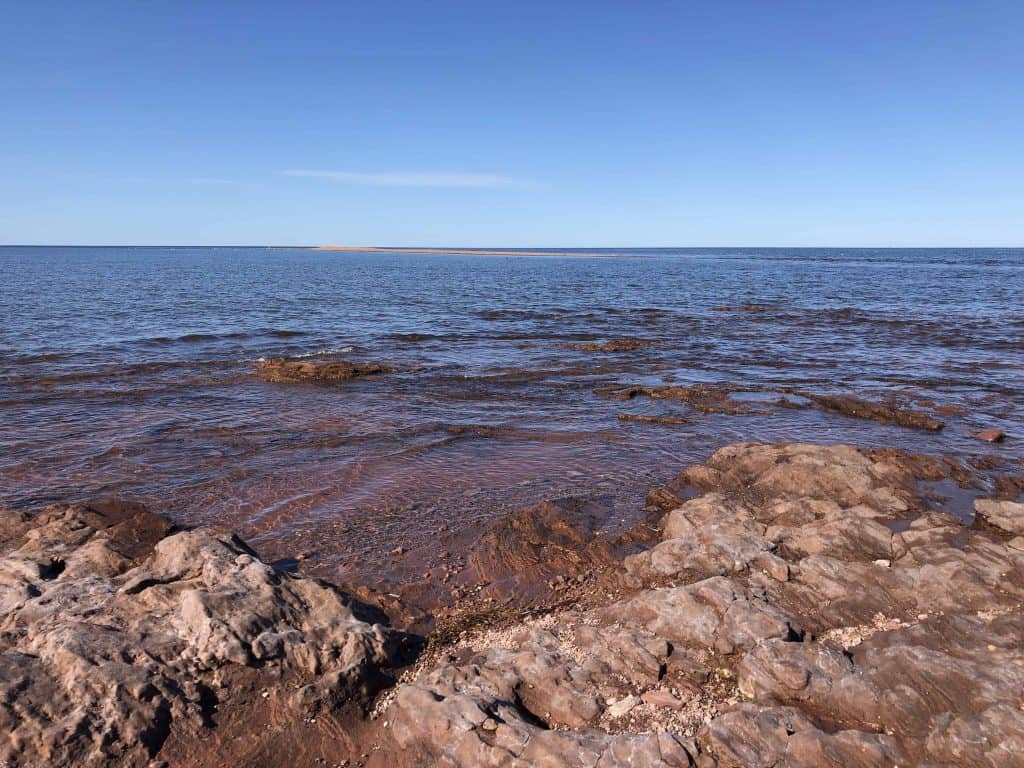 ocean with rocky red stone beach