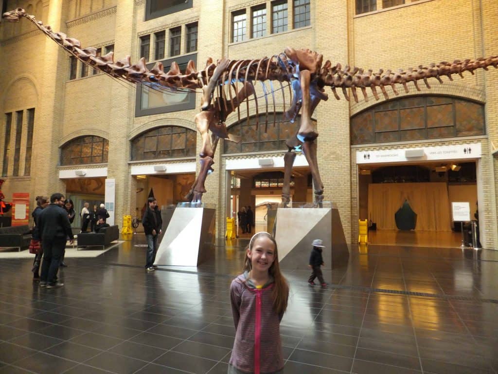 museum dinosaur