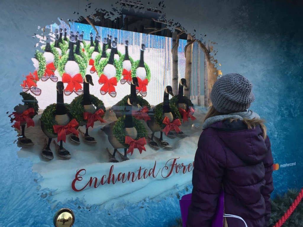 girl looking at holiday window display-canada geese wearing snowshoes and wreaths