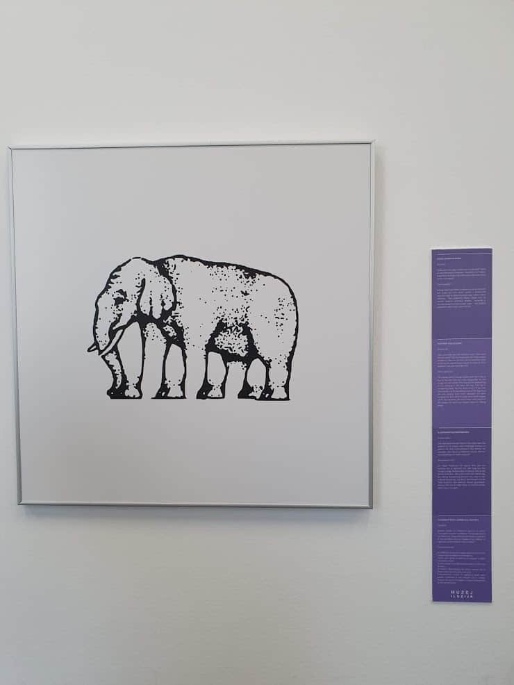 bkack and white sketch of elephant