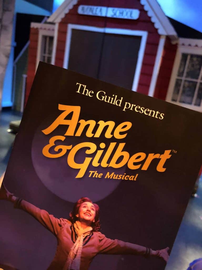 anne and gilbert program