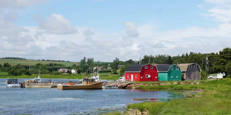 colourful buildings and boats on shoreline
