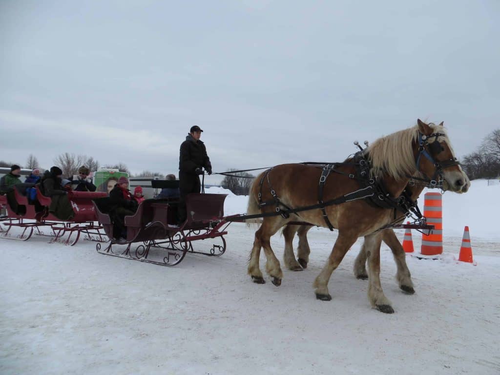 quebec winter carnival sleigh ride