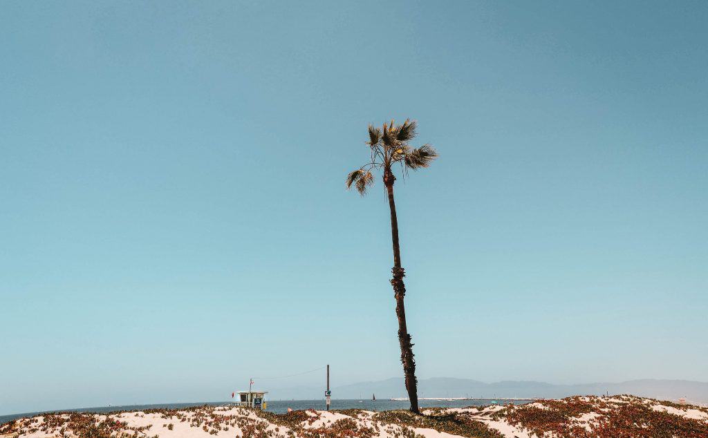 Playa del Rey beach