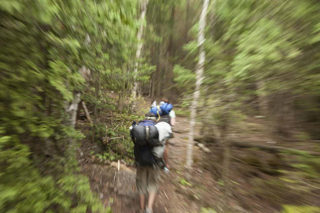 hiking through woods-bruce trail-ontario bucket list