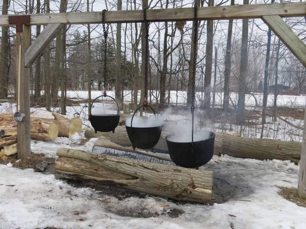 cauldrons of sap over fire-bronte creek