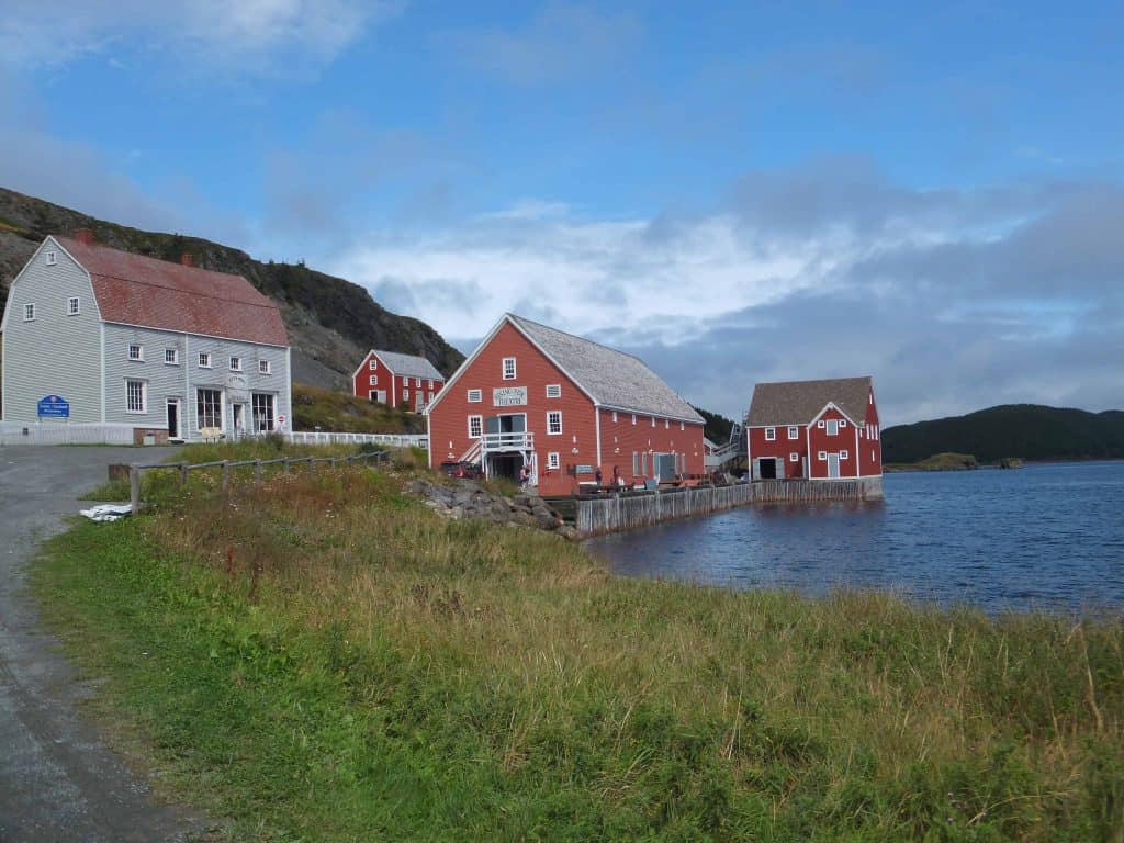 Red buildings by waterfront in trinity, newfoundland.