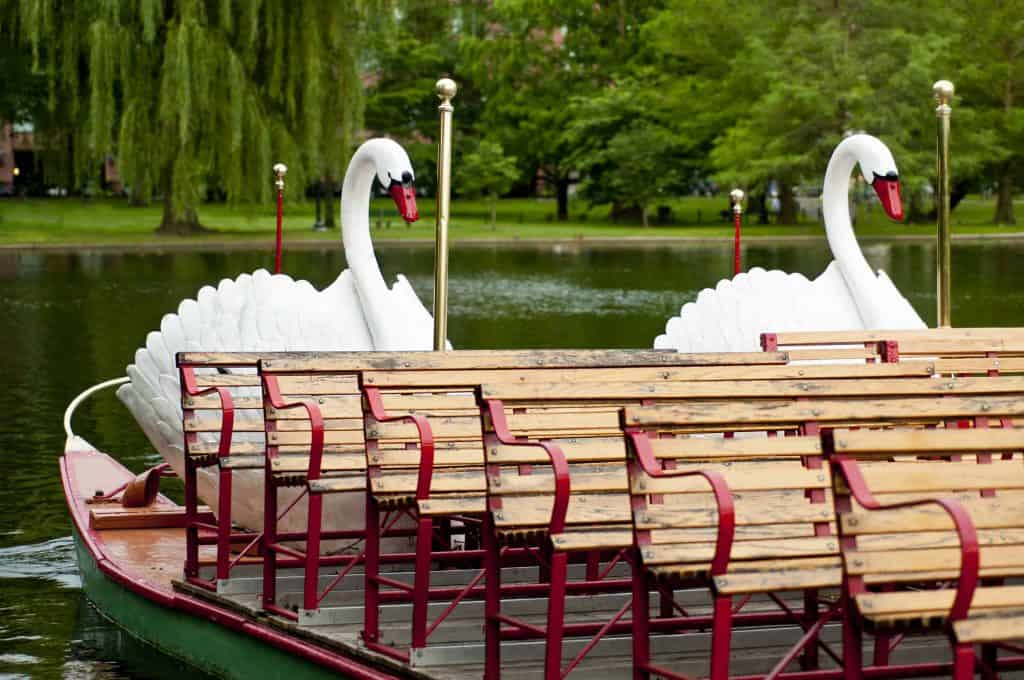 boston with kids-boston common-swan boats