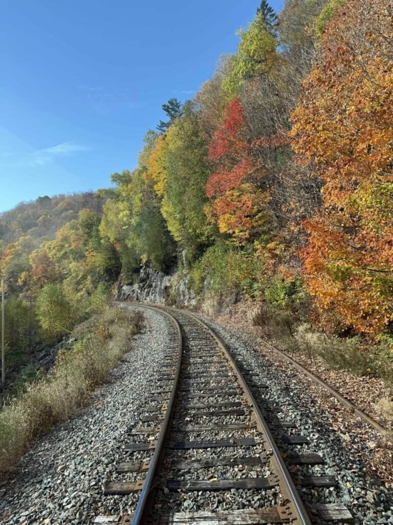 view from the Agawa Canyon Tour train of fall foliage along tracks and bright blue sky.