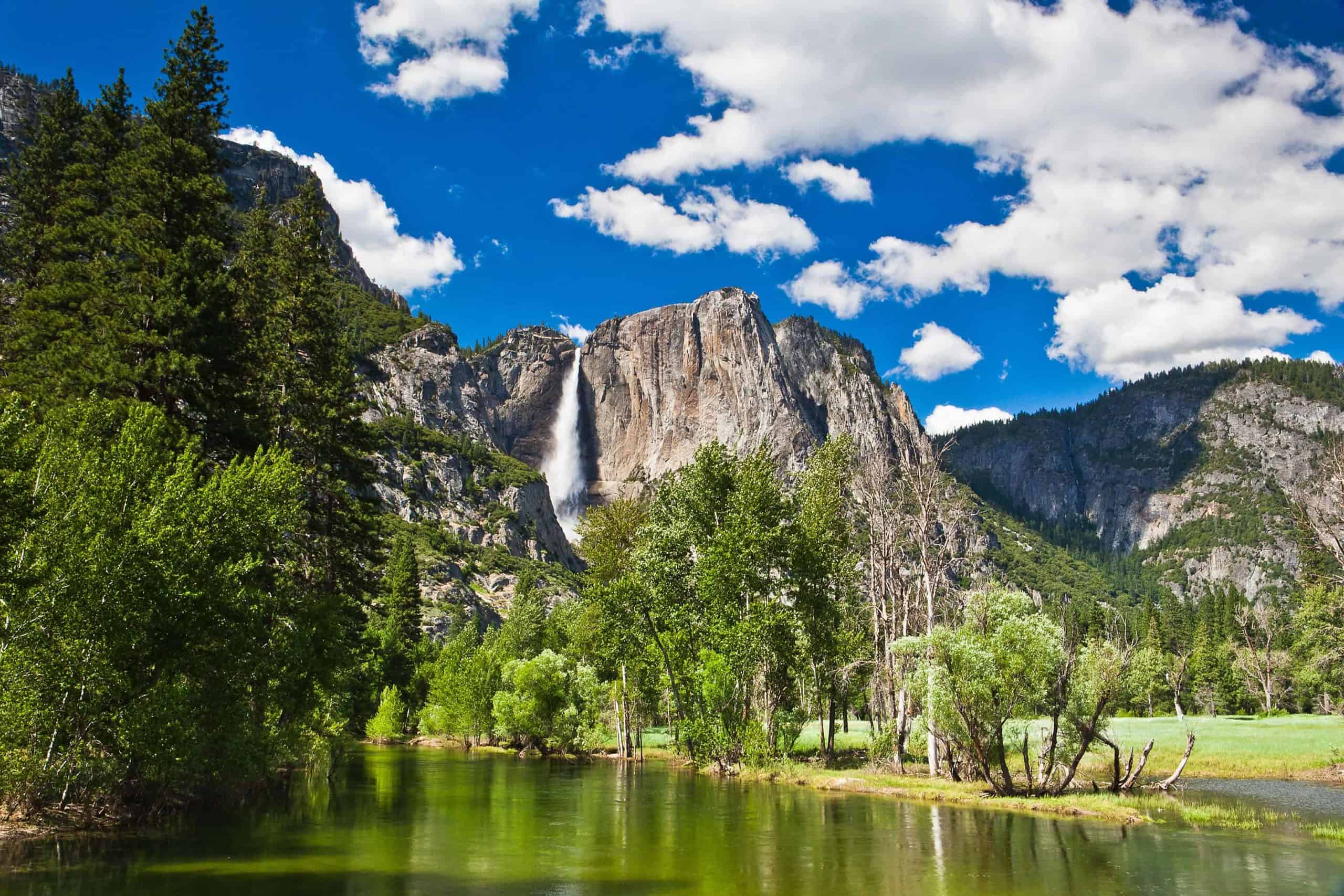 family trip to yosemite national park