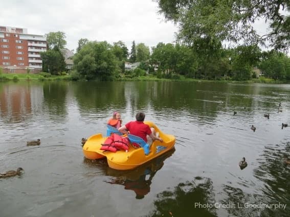 Man and young girl in yellow pedal boat surrounded by ducks on river in Stratford.