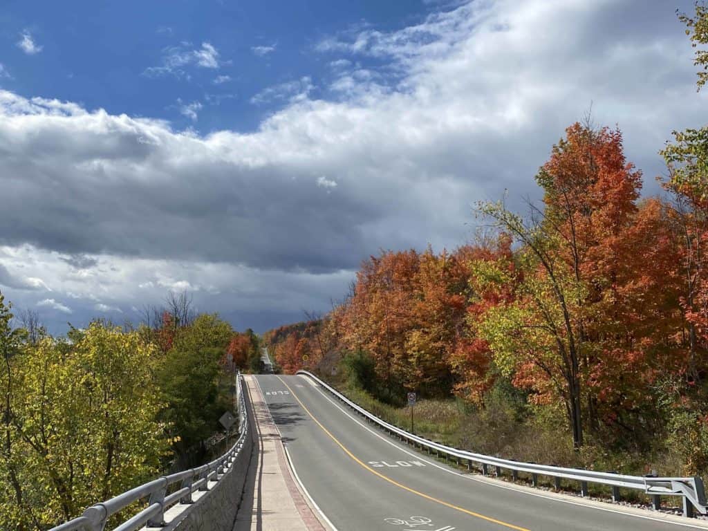 country road-ontario-fall trees