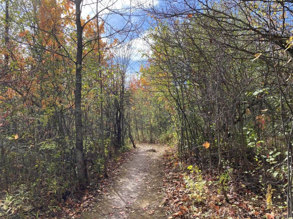 bruce trail-fall-at cheltenham badlands