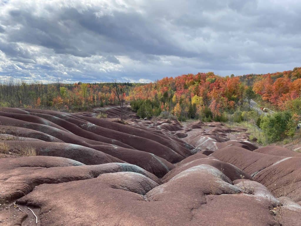 cheltenham-badlands-fall colours-overcast day