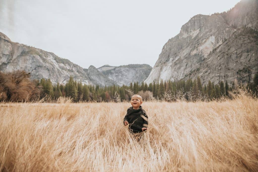 Young blond child in field of brown grasses in Yosemite National Park.