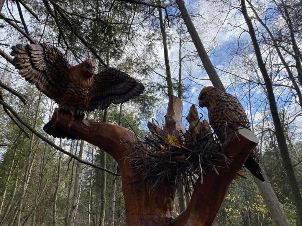 wooden carving of eagle nest and birds