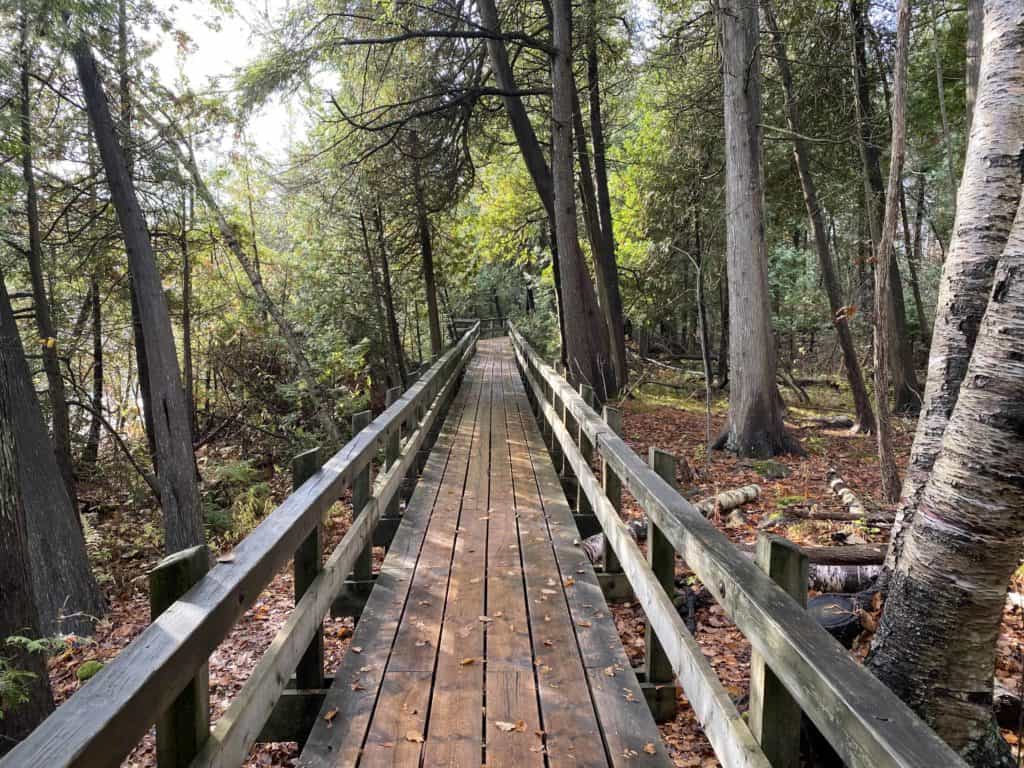 crawford lake-elevated boardwalk in woods