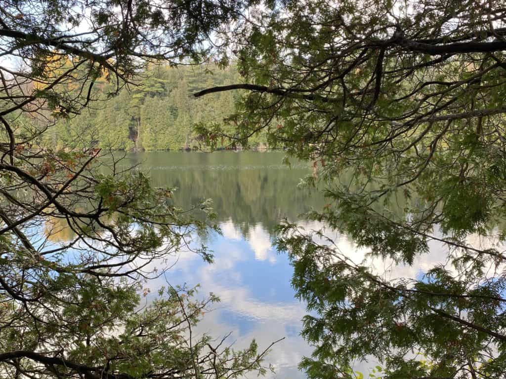 crawford lake-view of lake from trail