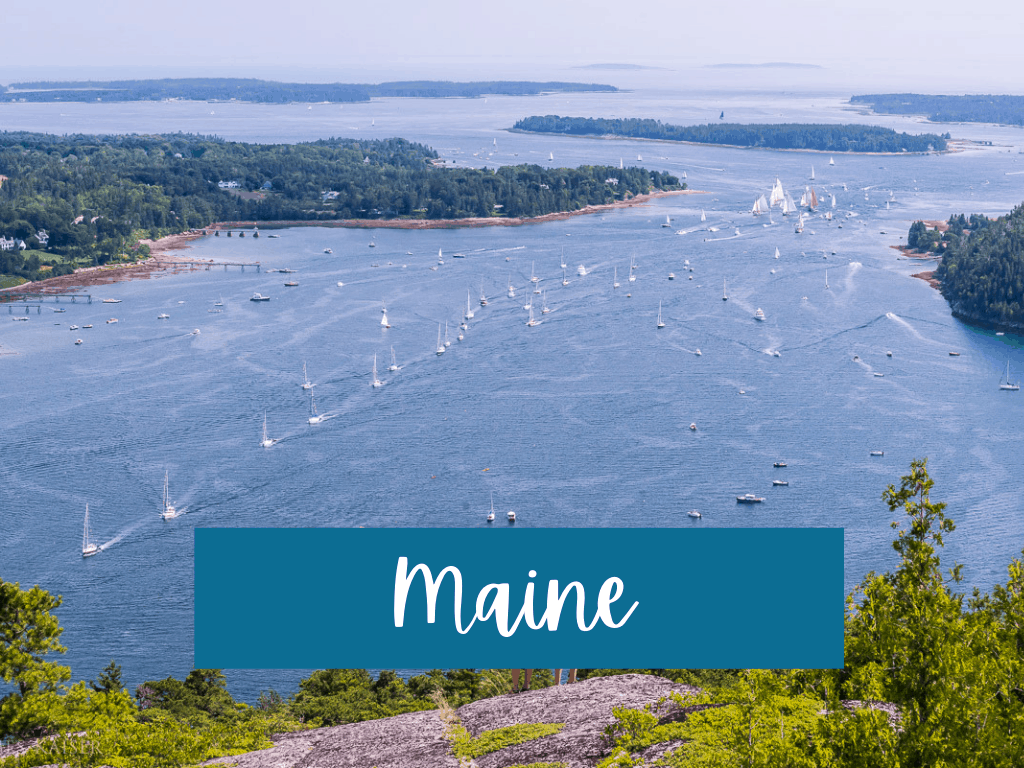 Maine category photo