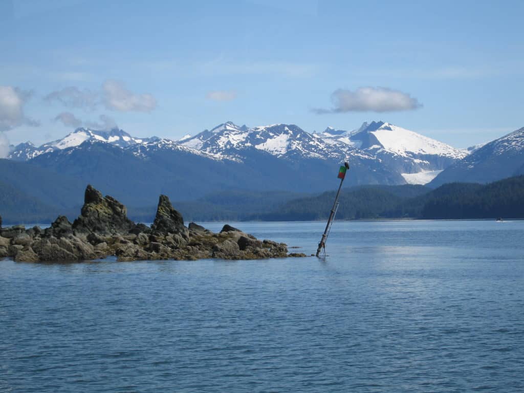 Bald eagle on post on a whale watching excursion in Alaska.