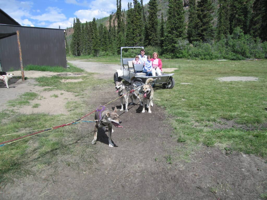 family in go-kart pulled by sled dogs-carcross-yukon