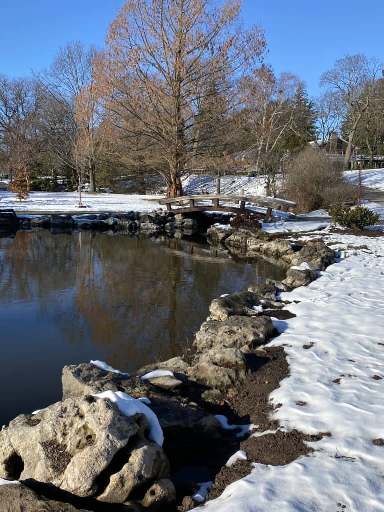 snow covered ground in gardens around pond with bridge.