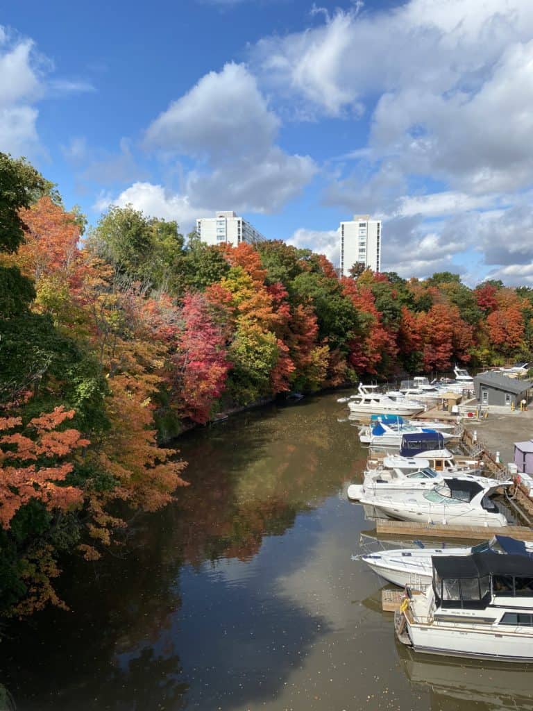 fall foliage-sixteen mile creek-oakville