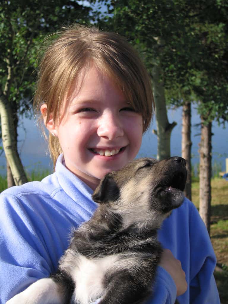young girl holding puppy at husky homestead in denali park, alaska.