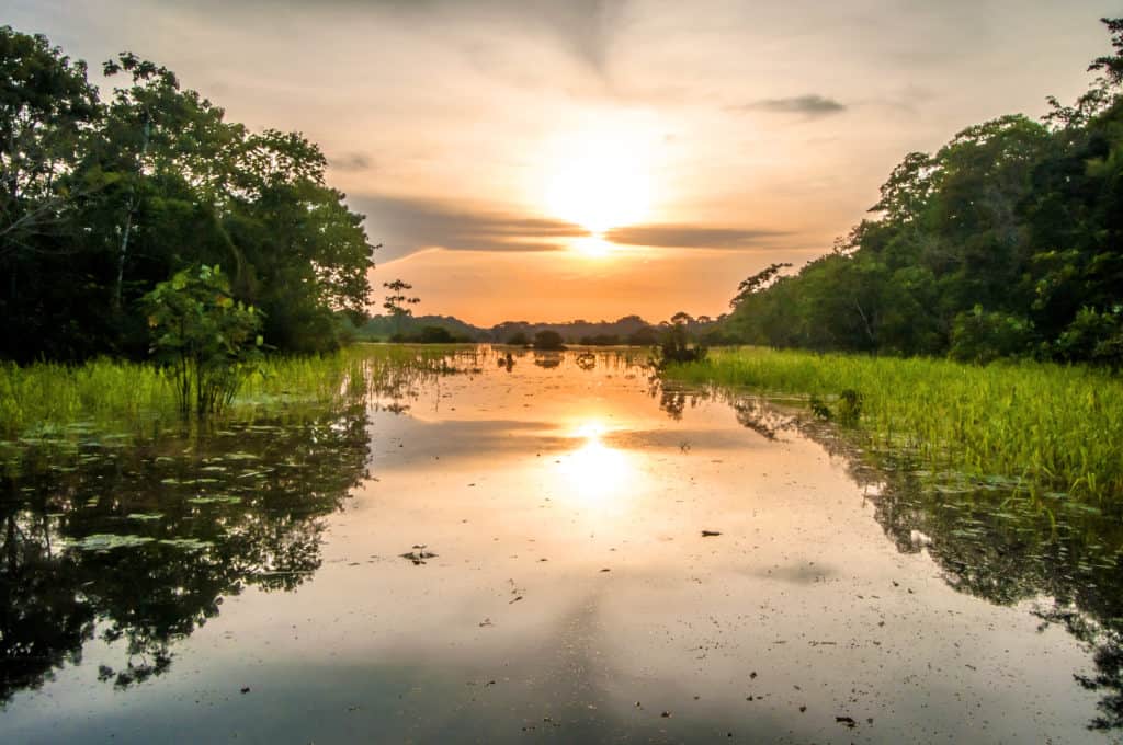 River in the Amazon Rainforest at dusk, Peru.